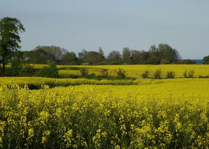 Geltinger Birk By Interhome *