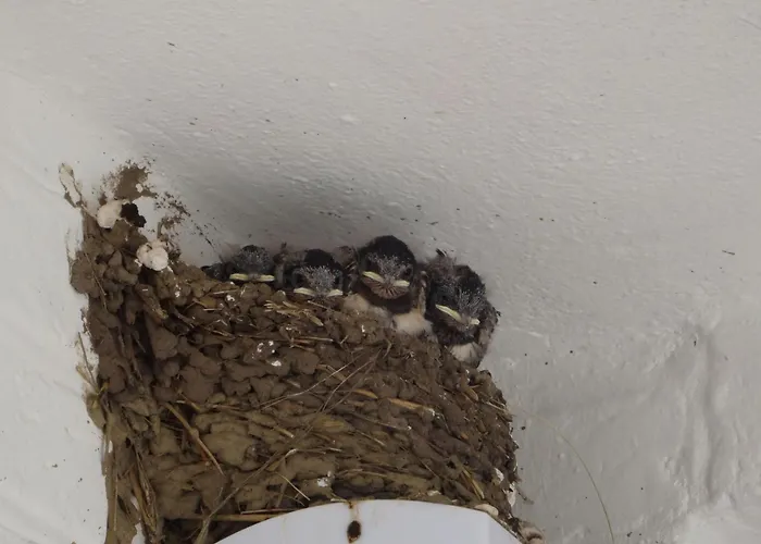 Geltinger Birk By Interhome Pommerby (Gelting)